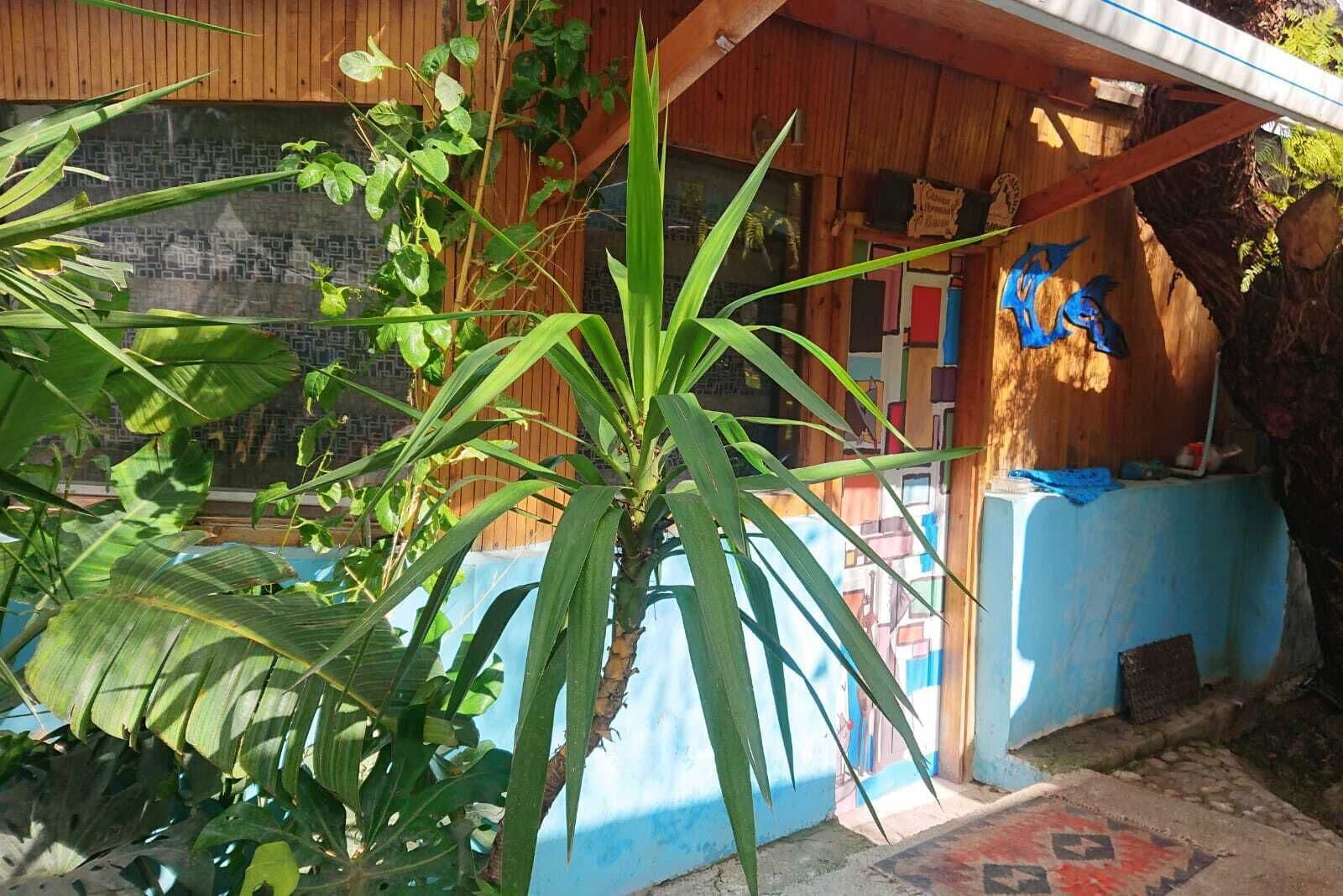 Green Bungalow