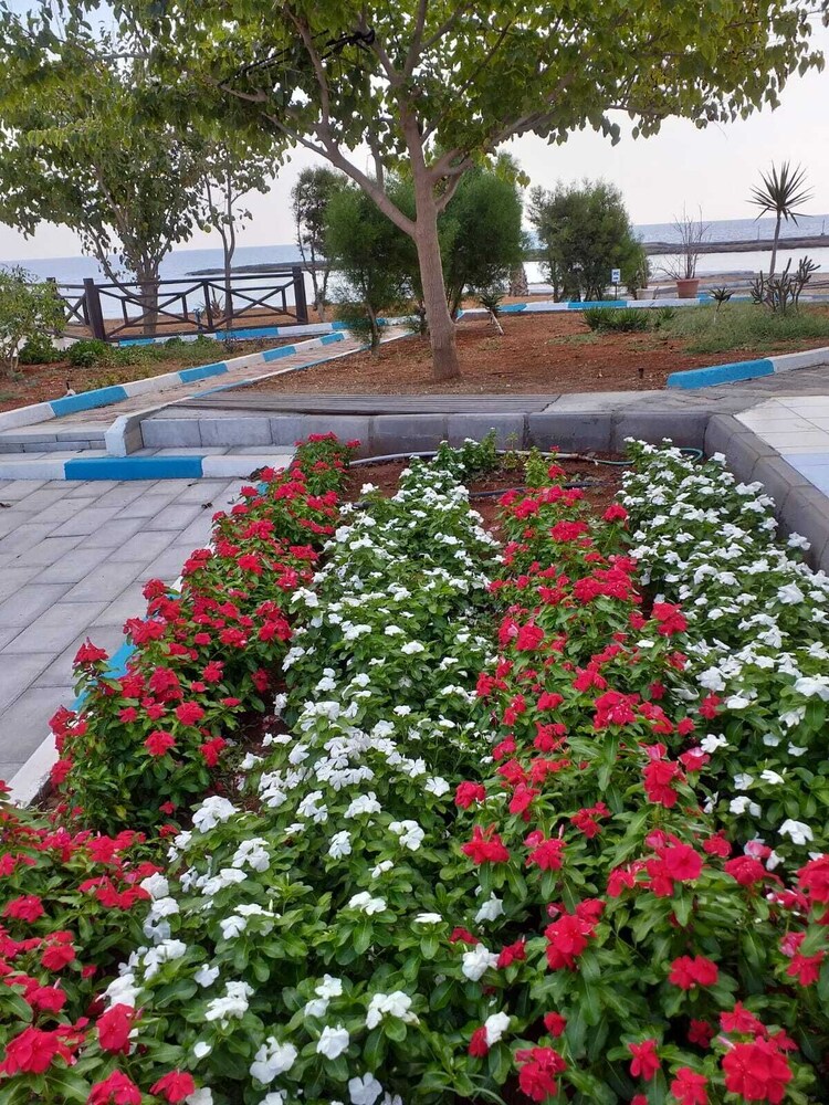 Livana Hotel