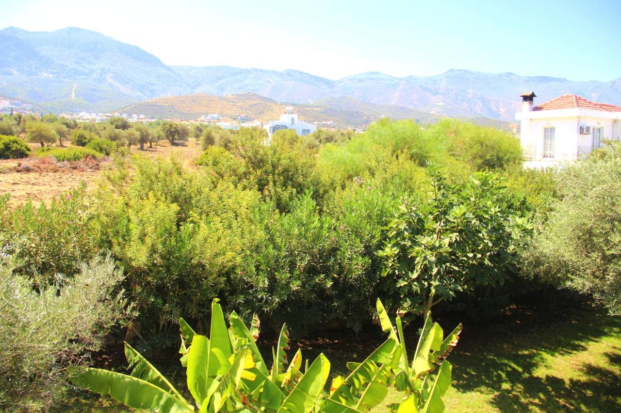 Bare Hills Boutique Hotel & Pool