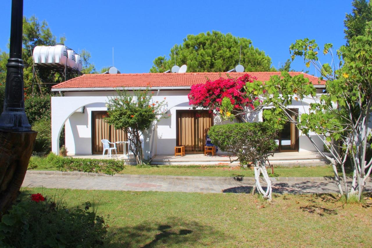 Bare Hills Boutique Hotel & Pool