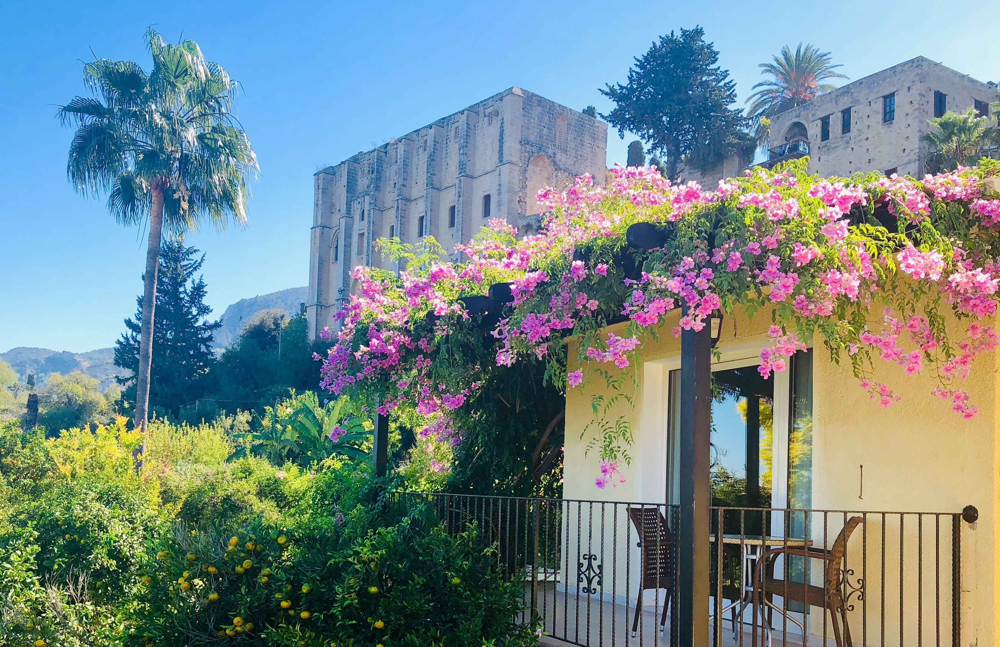 Bellapais Gardens