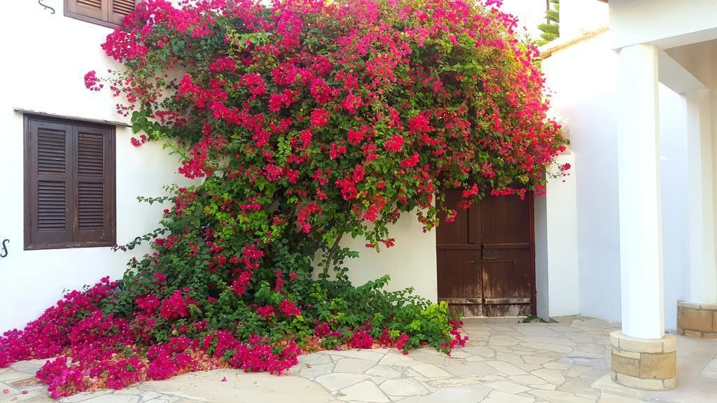Cyprus Village House