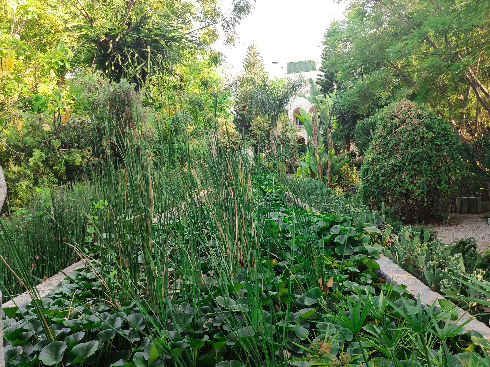 Babil Bahceleri Guest House