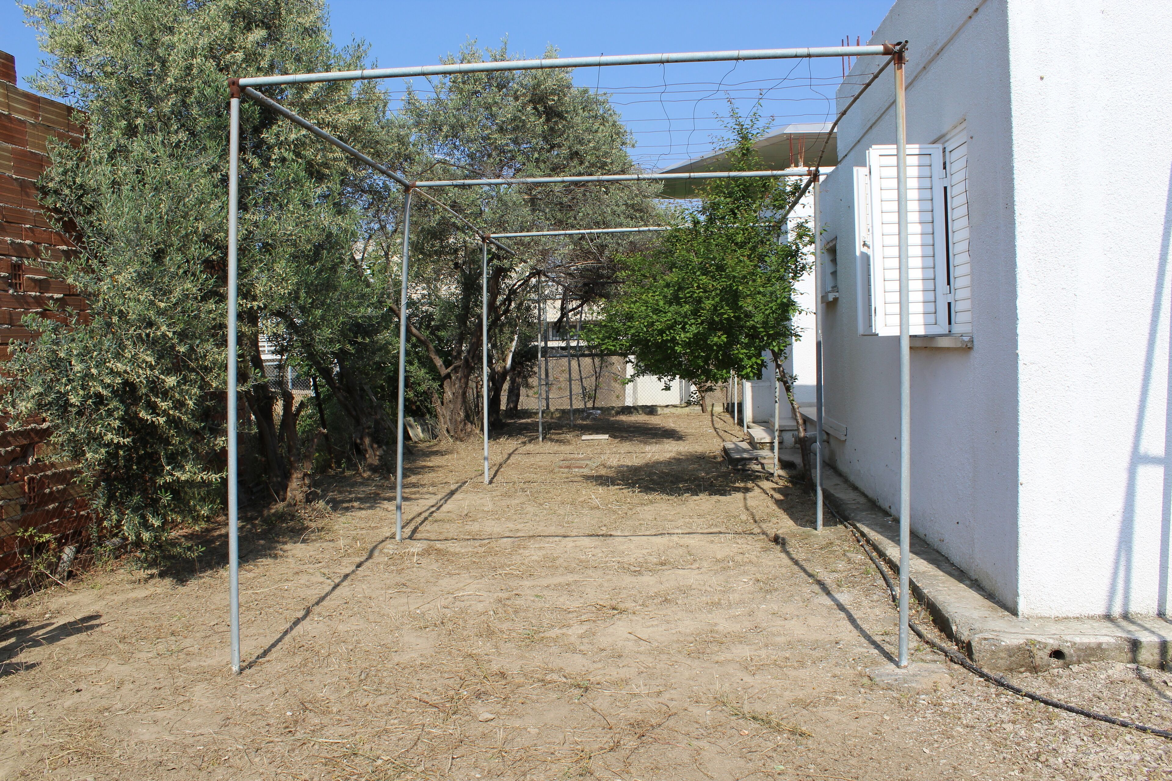 Costas Hostel Action 2