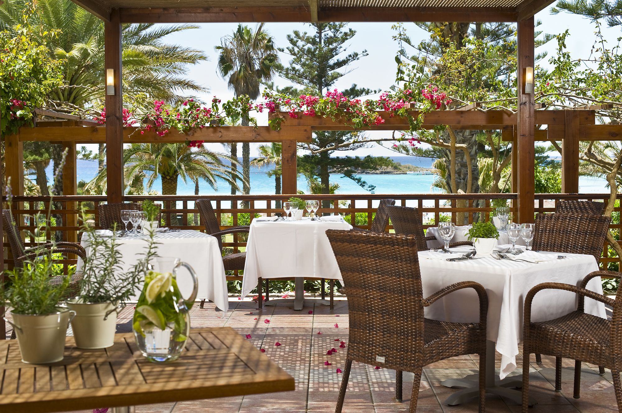 Nissi Beach Resort