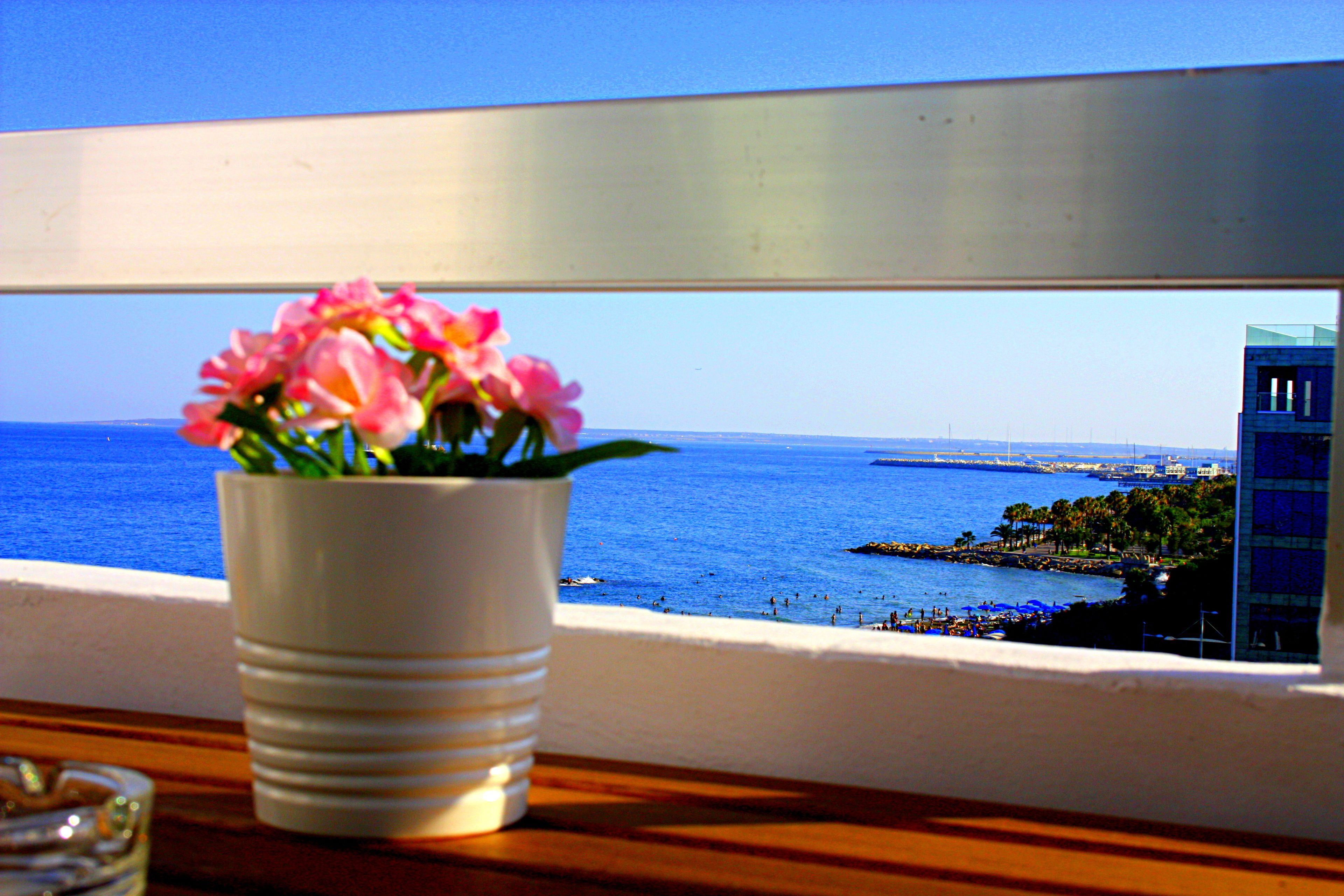 Panoramic Blue