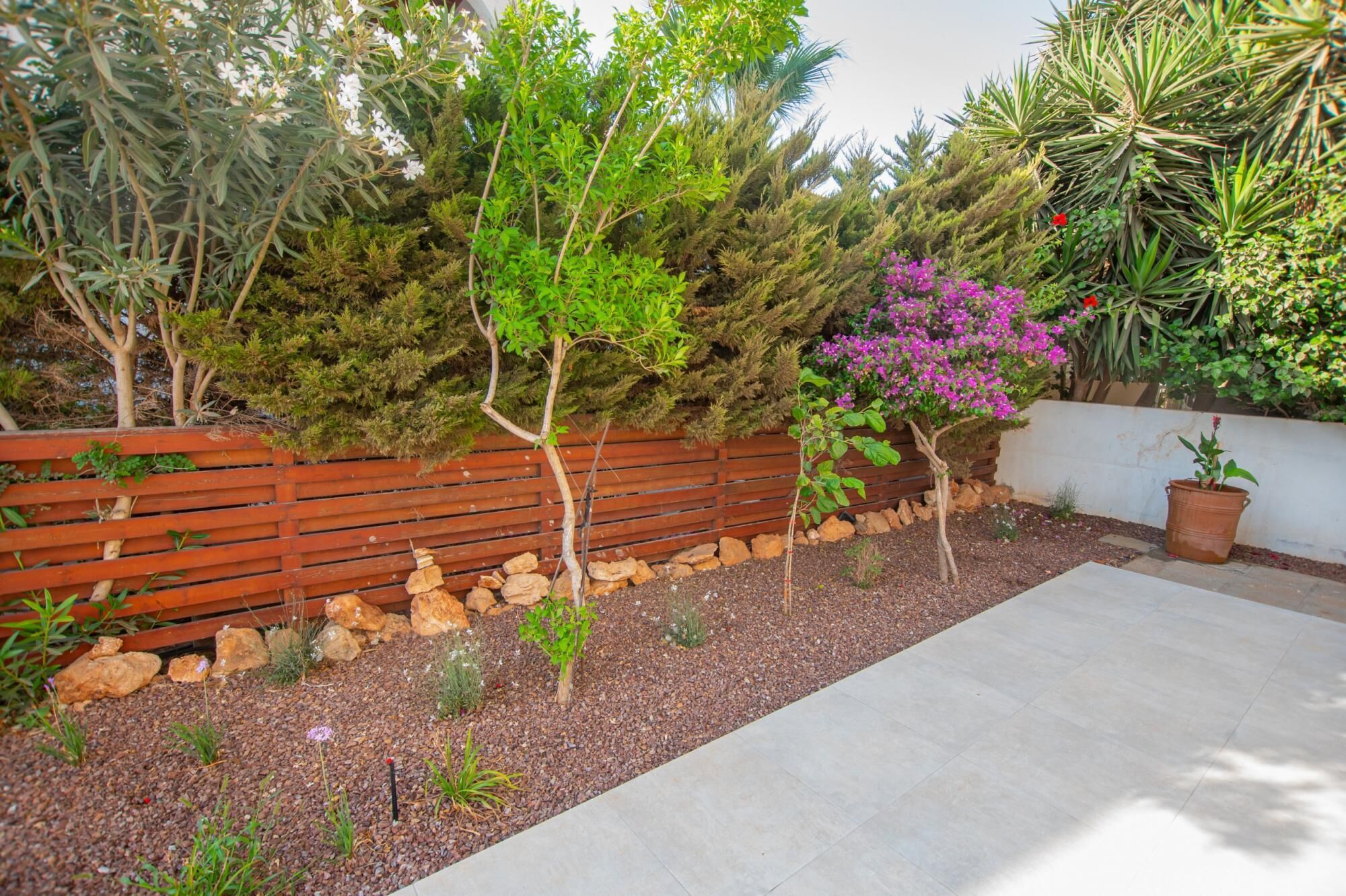 Protaras Art House Seviews