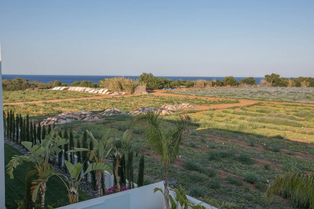 White Pearl Villas