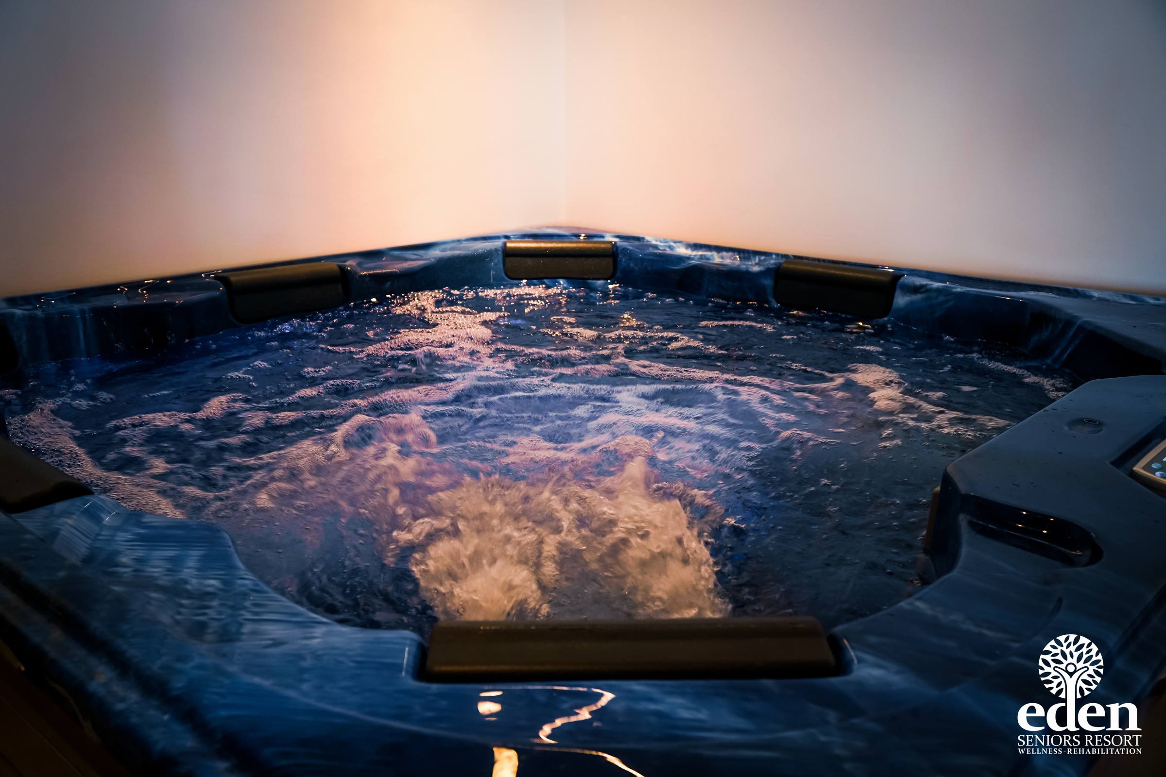 Eden Seniors Resort Wellness Rehabilitation