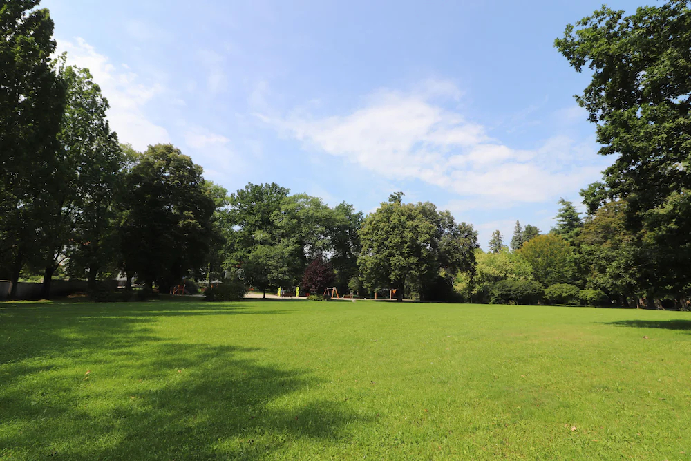 Hotel CK Park