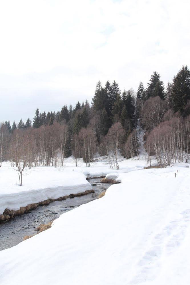Hotel Šumava Inn