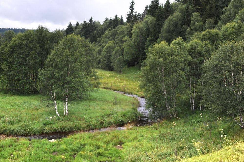 Hotel Šumava Inn