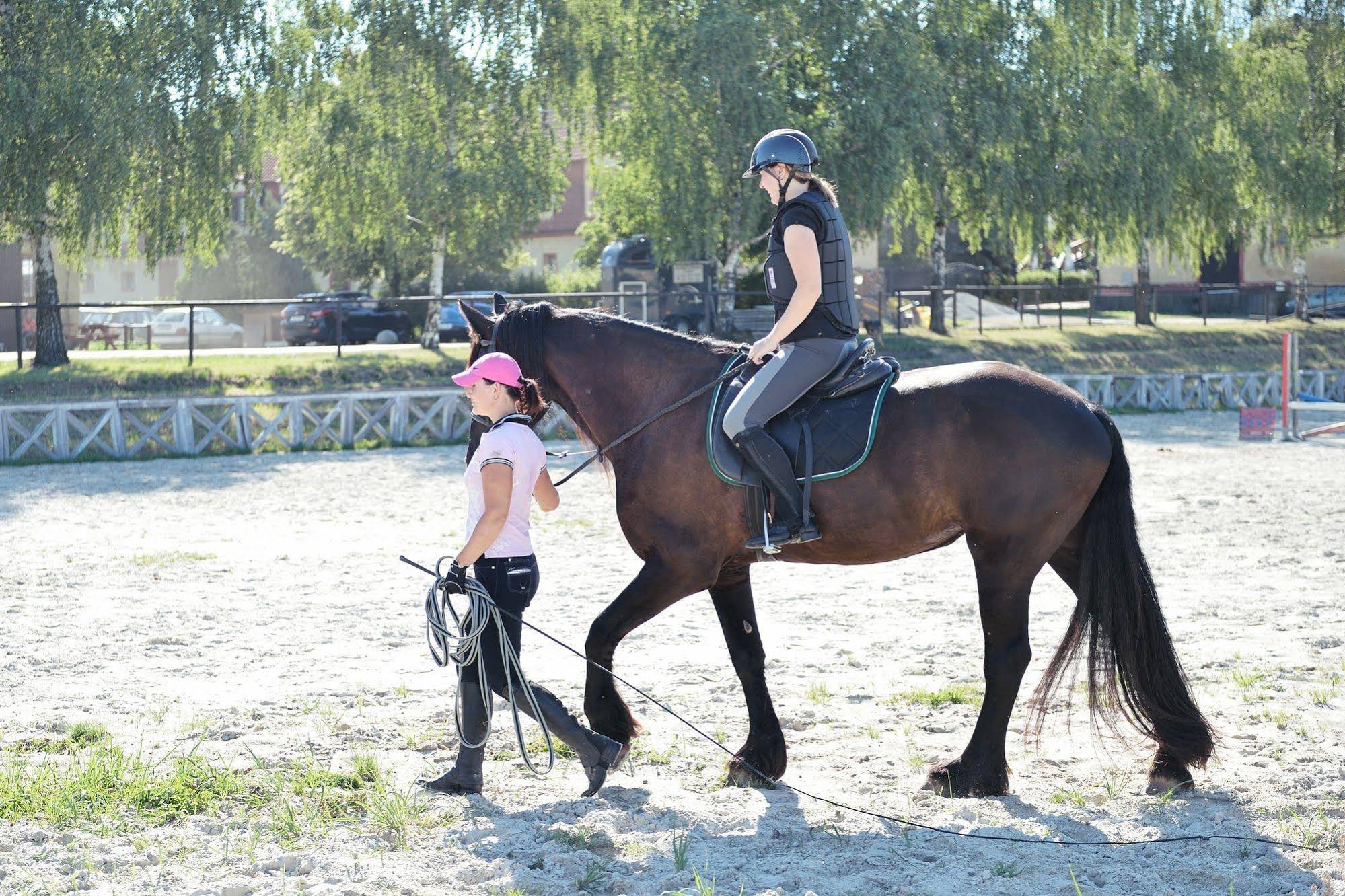 Dvur Pecinov