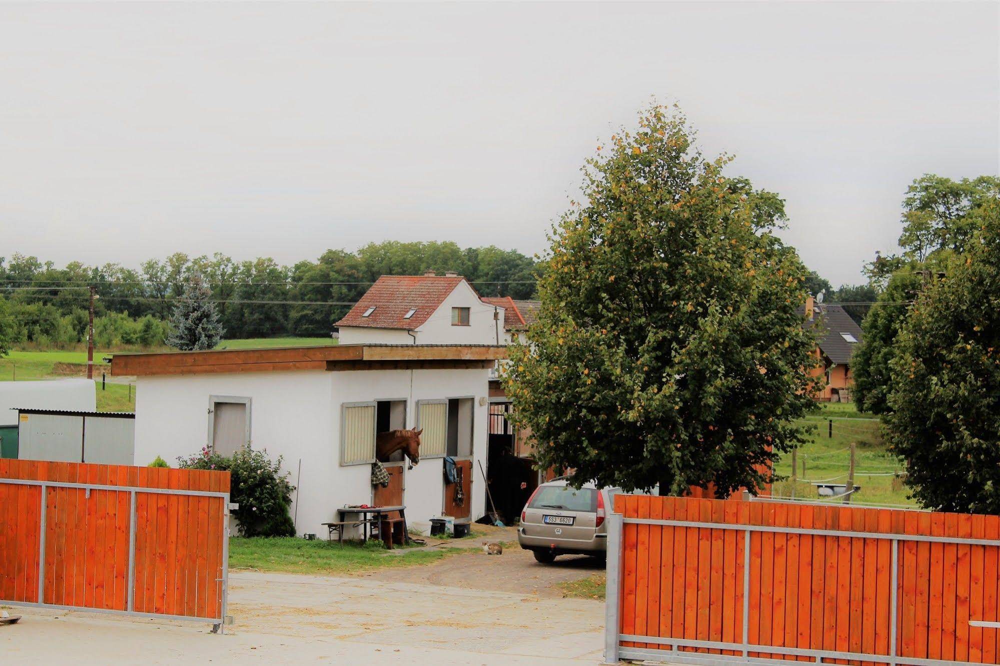 Farma Ptýrov