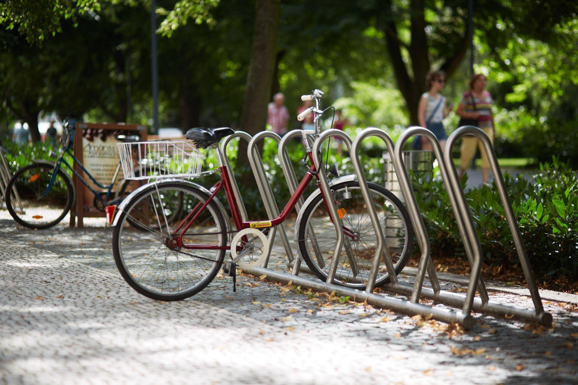 Penzion Alfa Podebrady