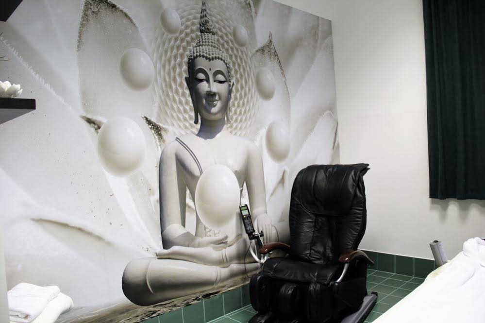 Penzion Alfa Podebrady