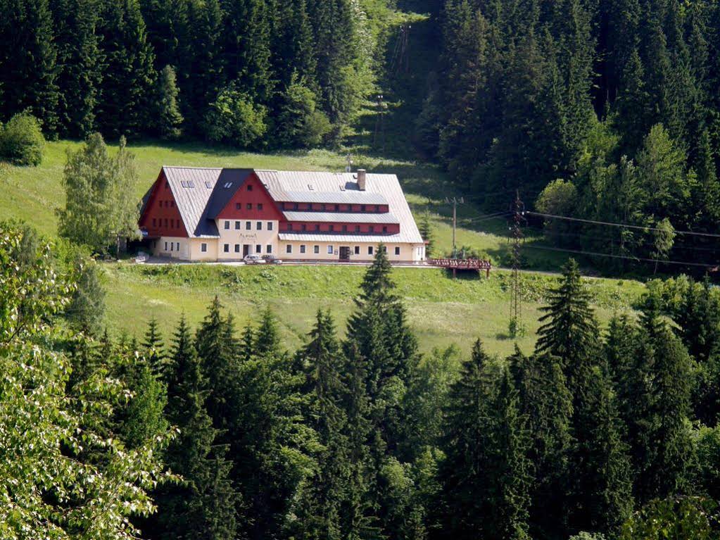 Alpina