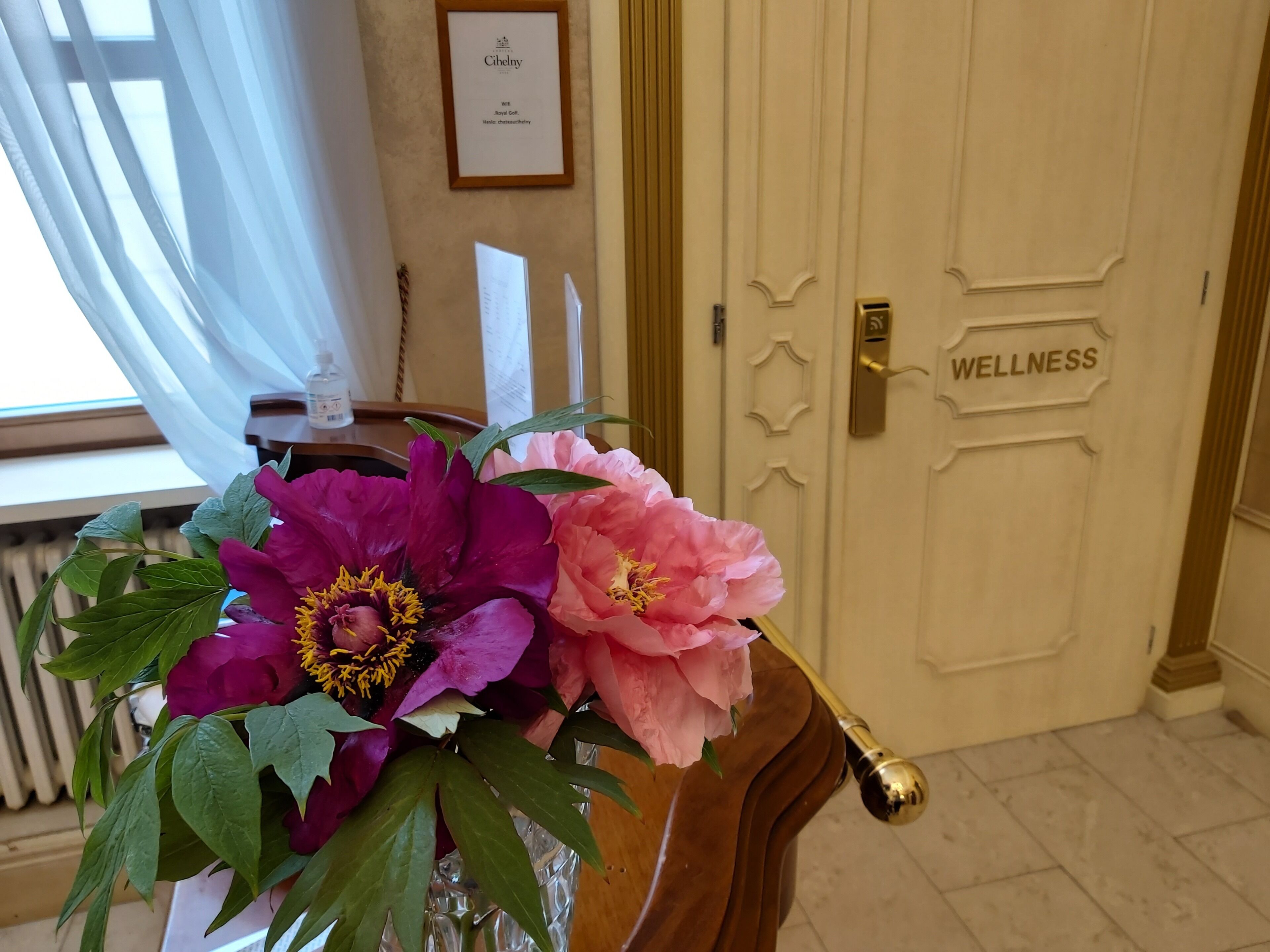 Chateau Cihelny