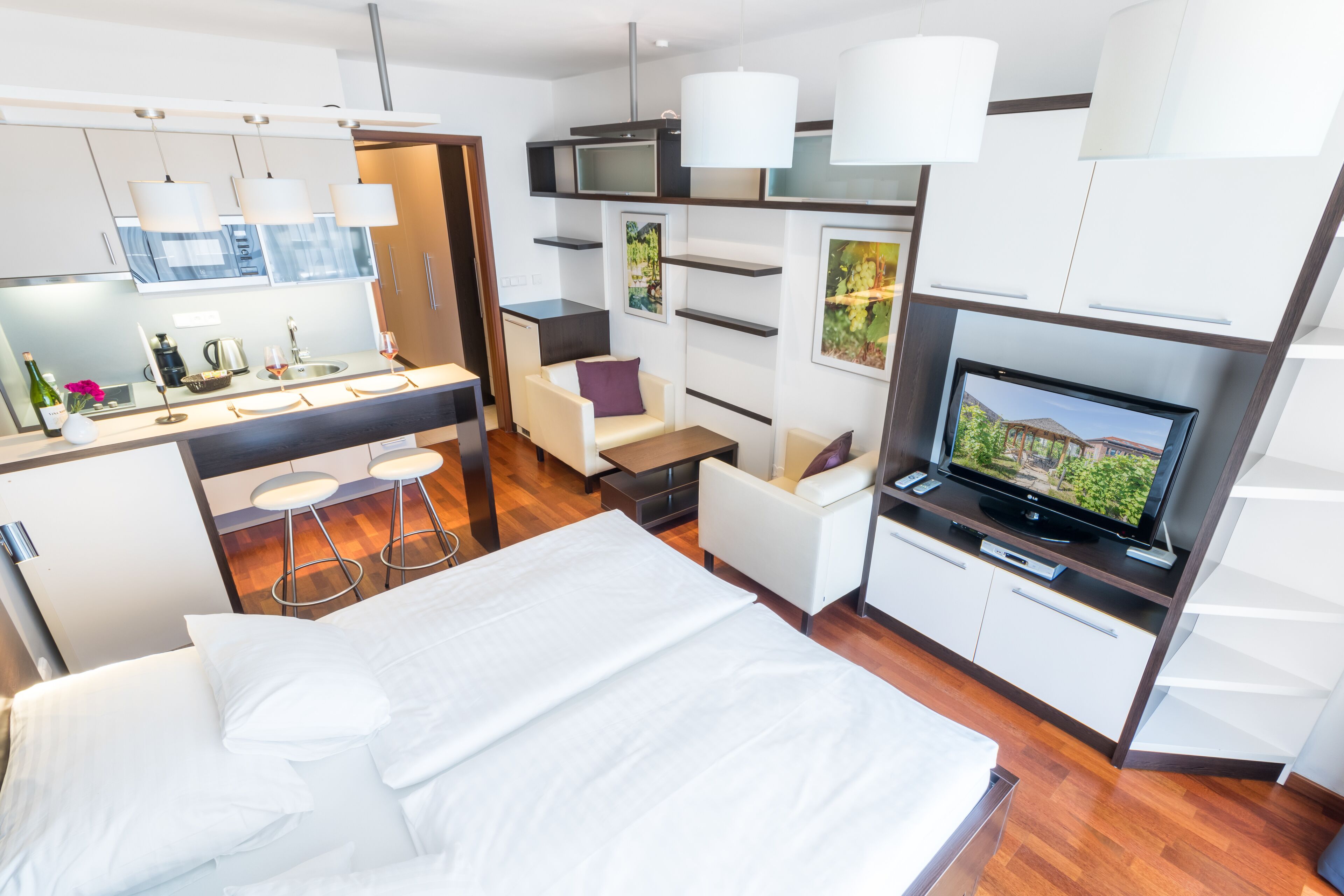 Albertov Rental Apartments