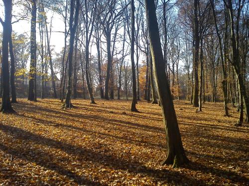 Apartmány Chodov