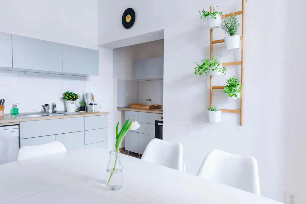 Chill Apartments