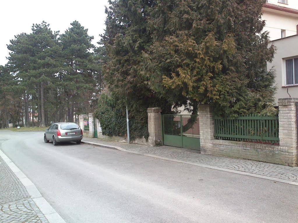 Guesthouse DD