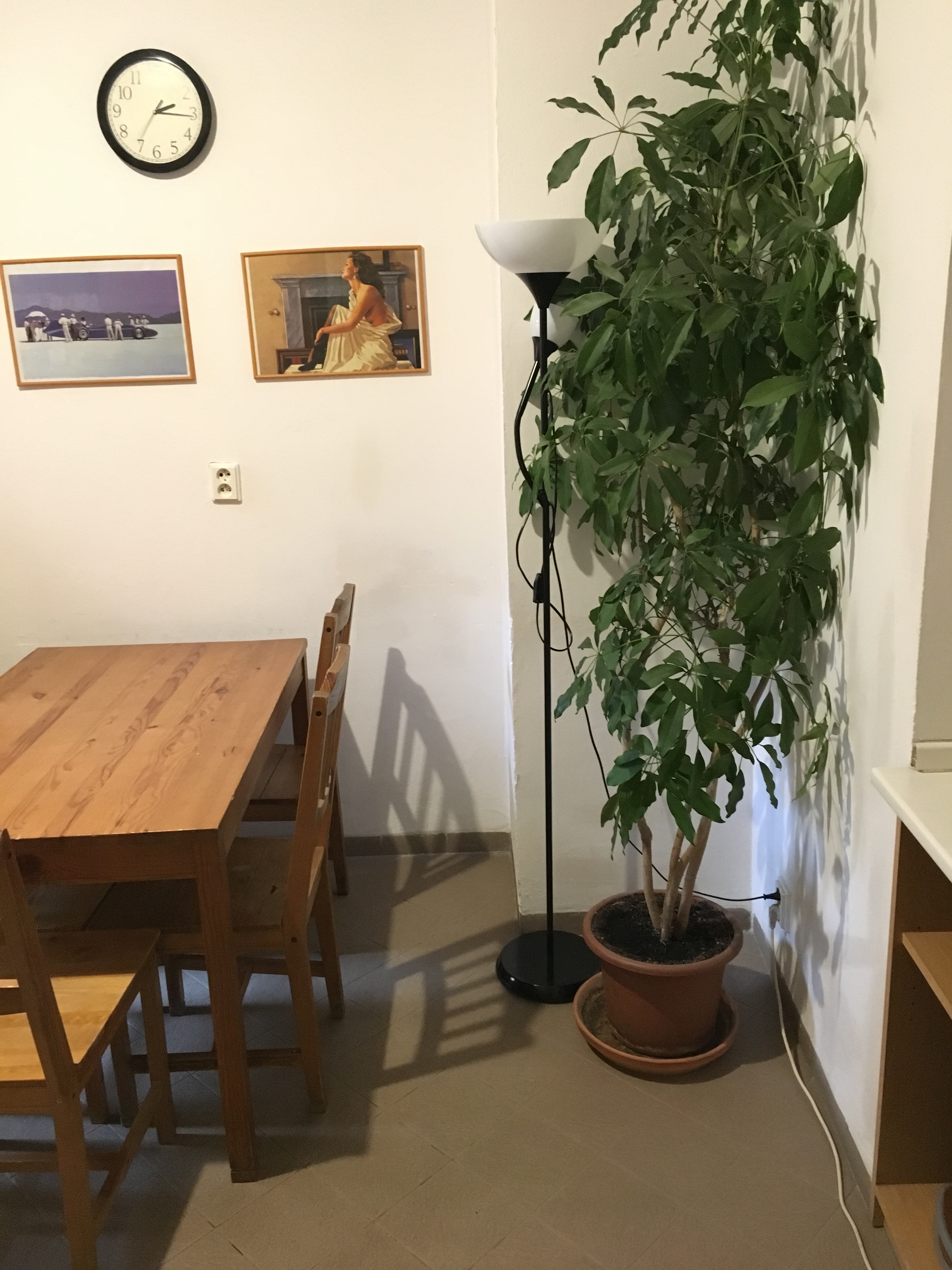 Hostel Rosemary