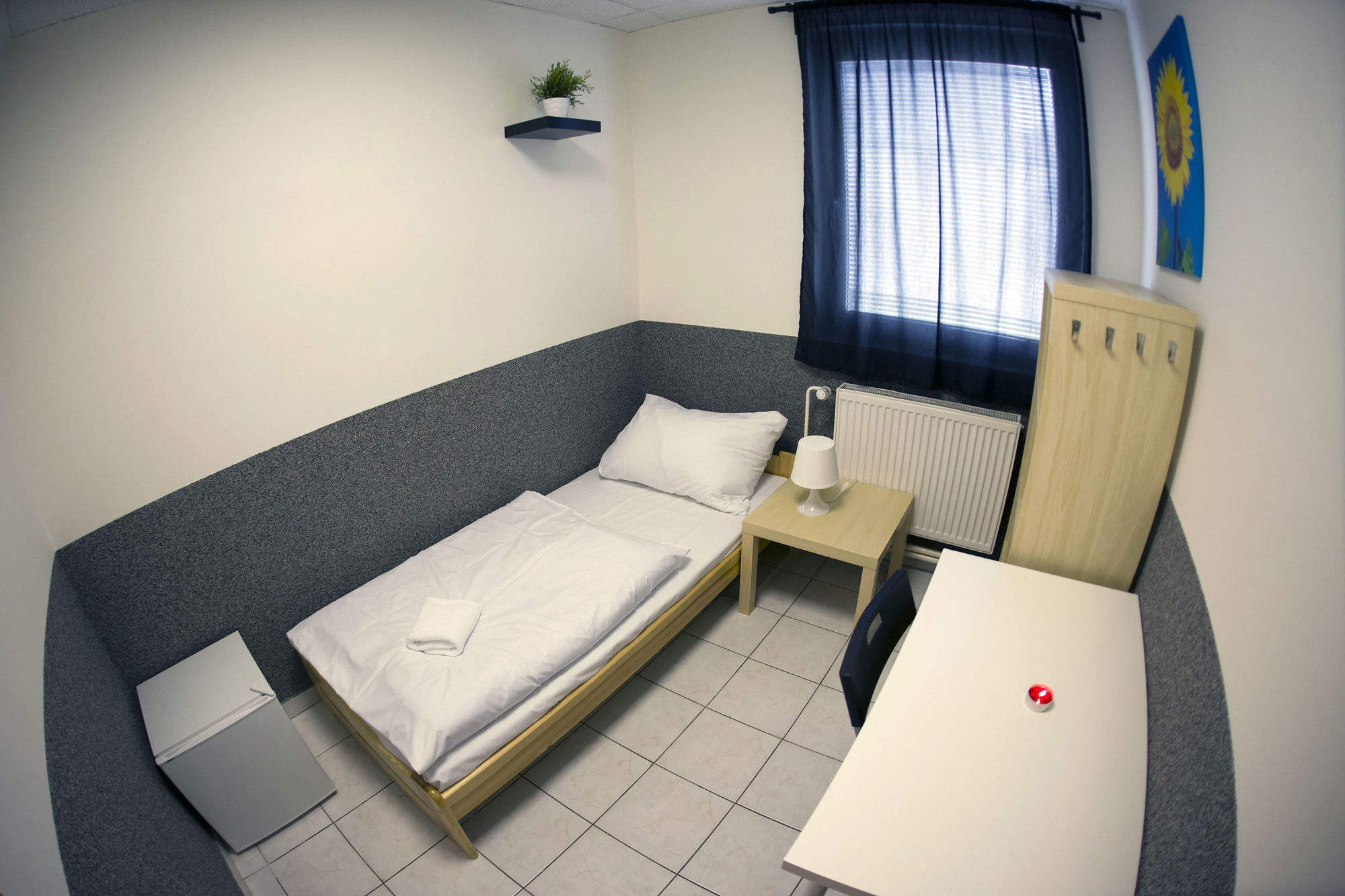 Hostel Seven