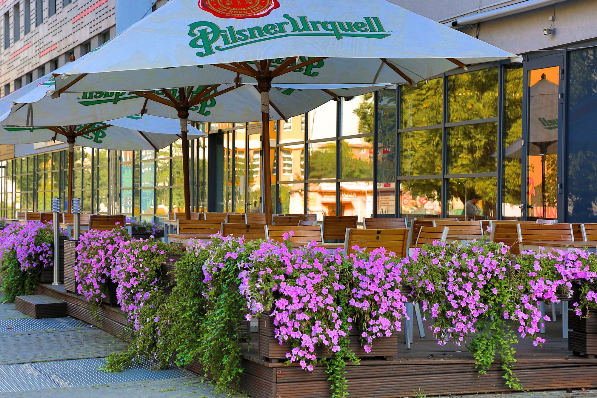 Iris Hotel Eden