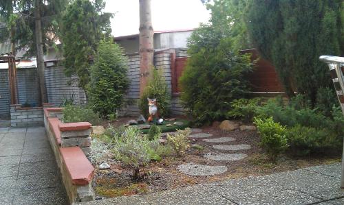Pension Fox