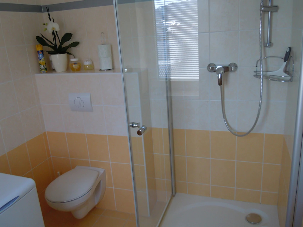 Apartmany Vlckova