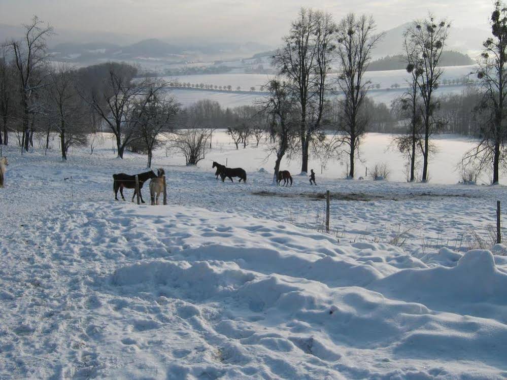 Penzion Hradisko