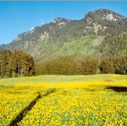 Gasthof Grüntenblick