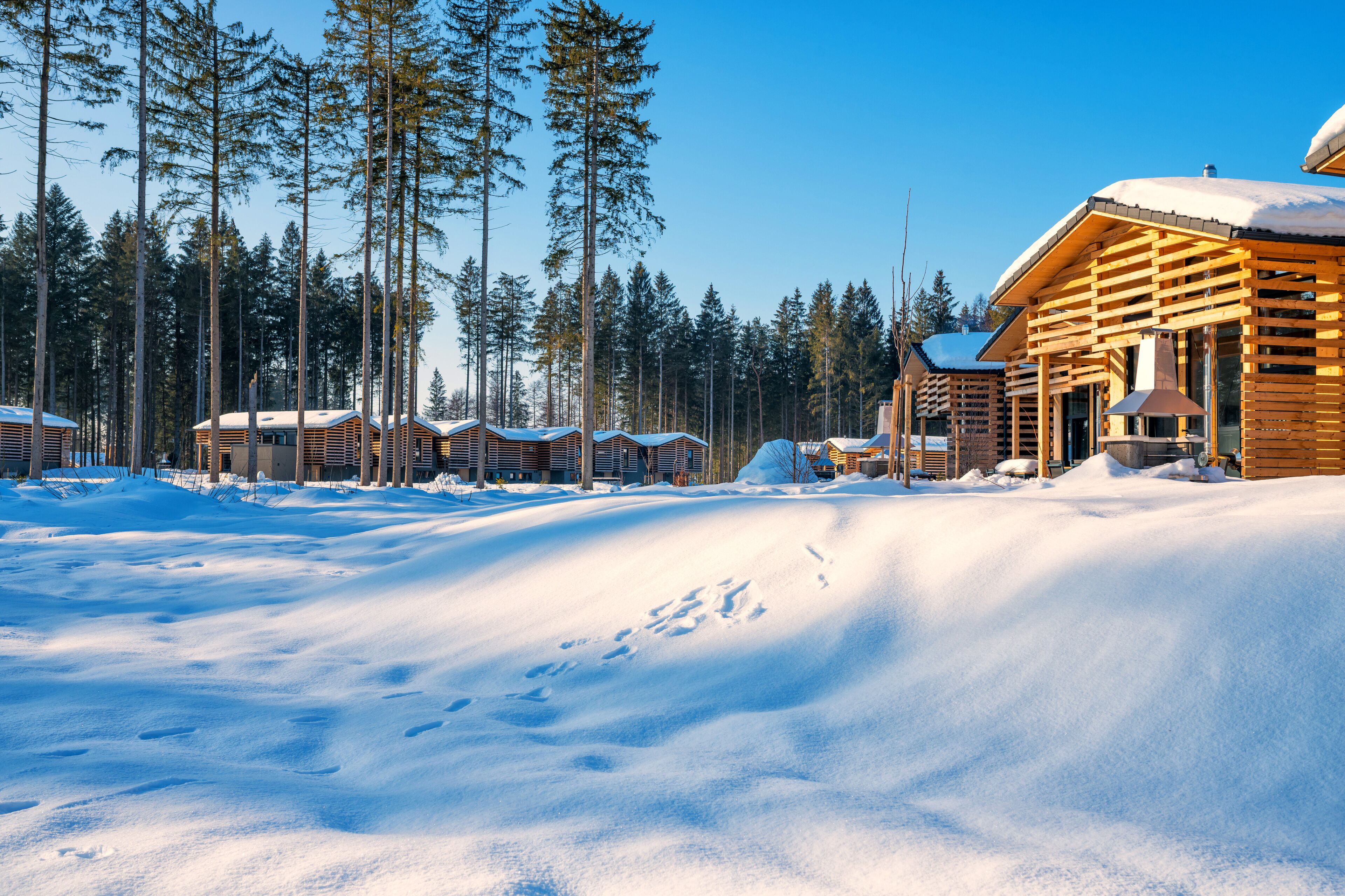 Center Parcs Park Allgäu