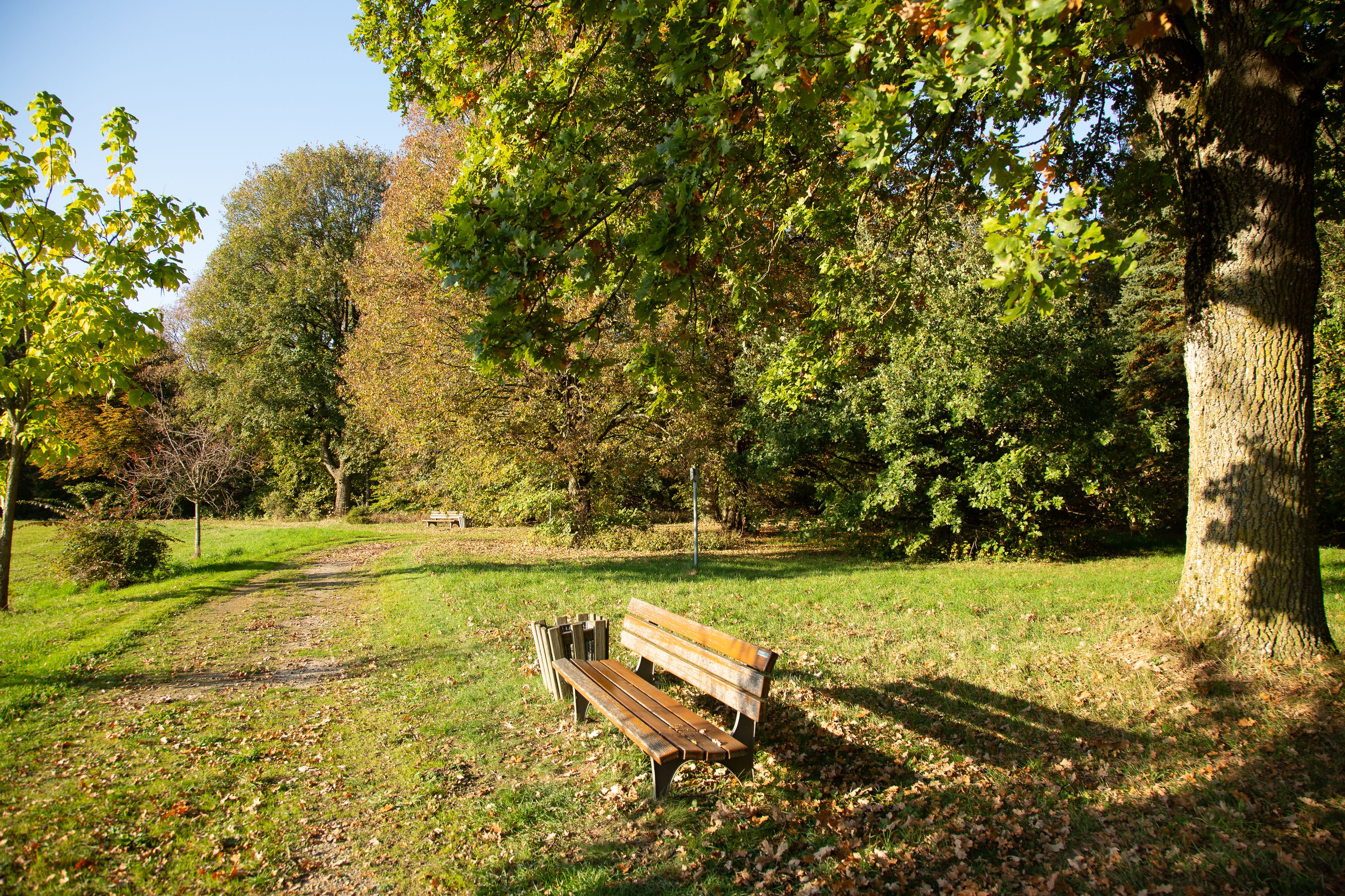Airport BERGER'S Park