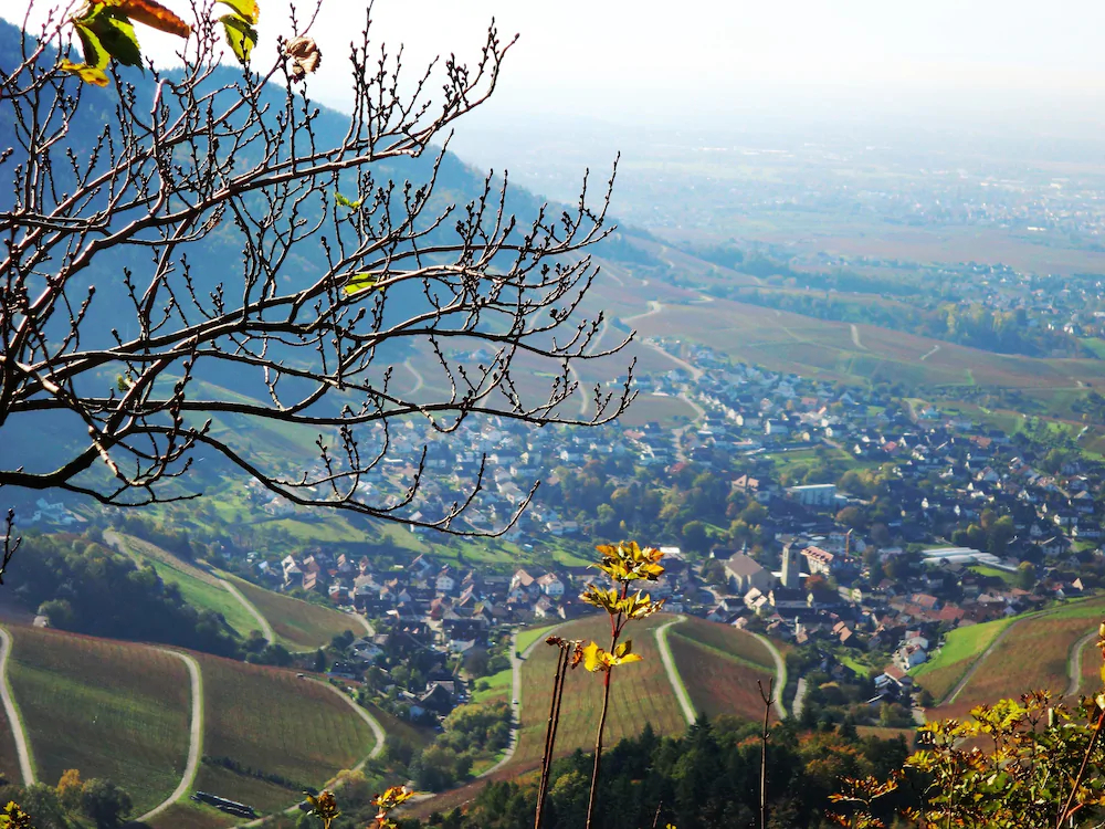 Altenberg