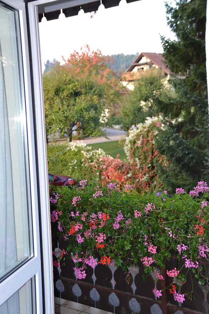 Gasthaus Auerhahn