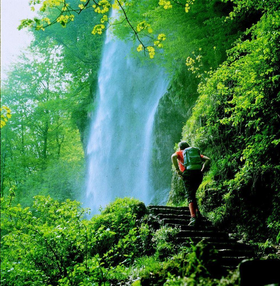 Biosphärenhotel Graf Eberhard