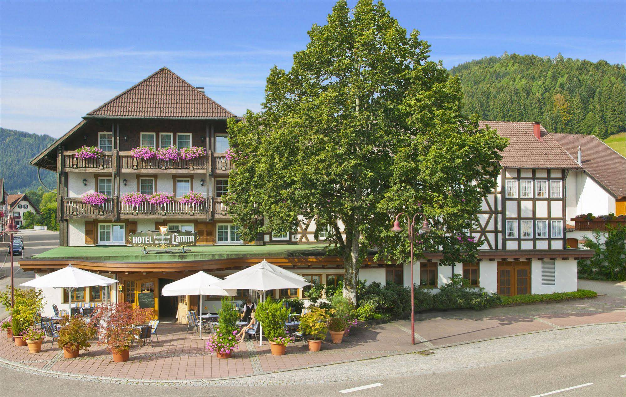 Hotel Lamm Mitteltal