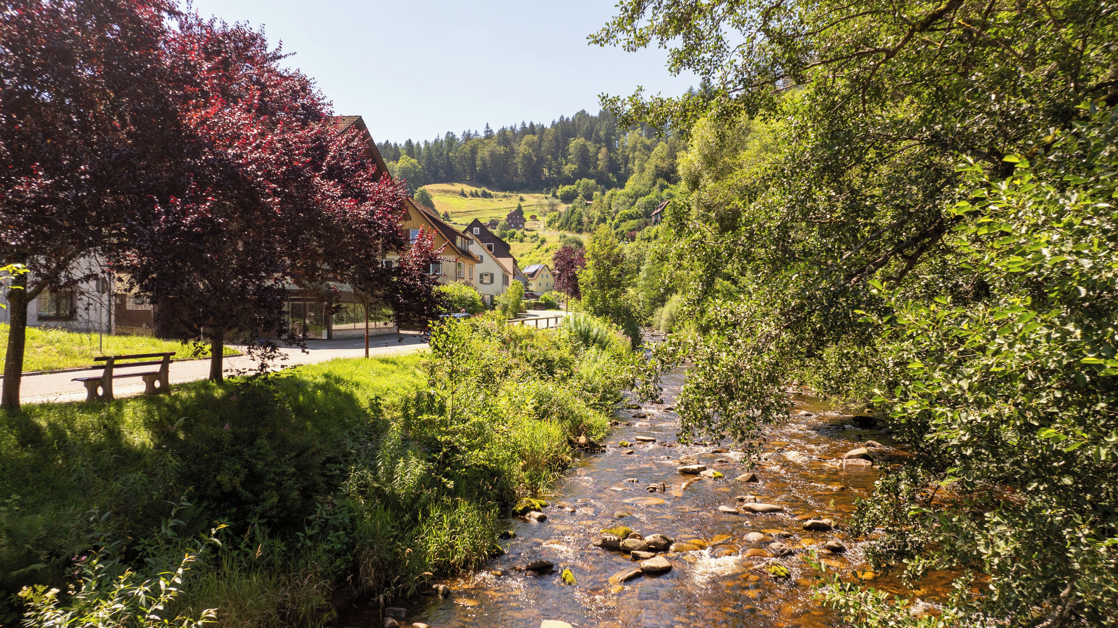 Ringhotel Sonnenhof