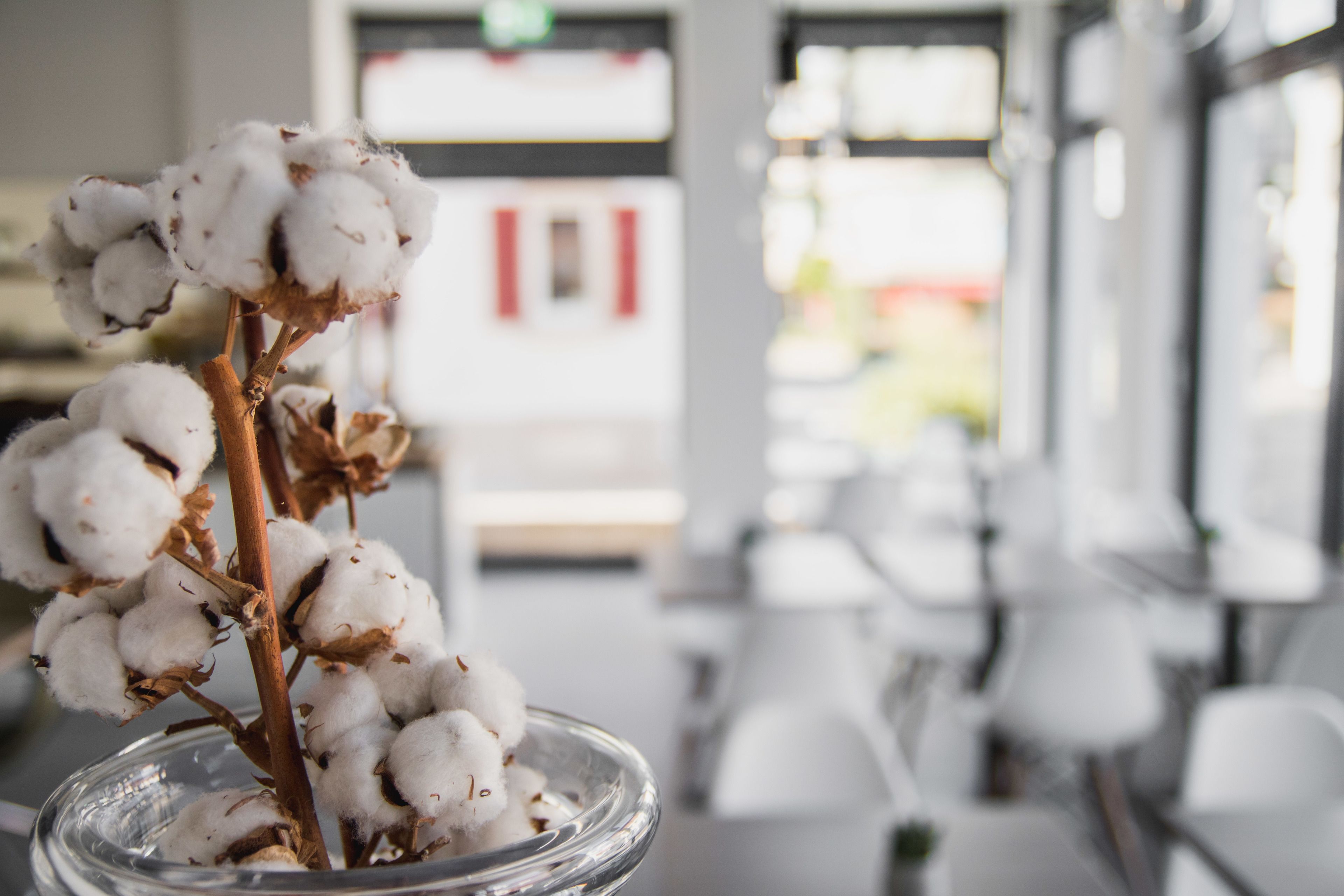 Hayta Hotel Stuttgart Airport Messe