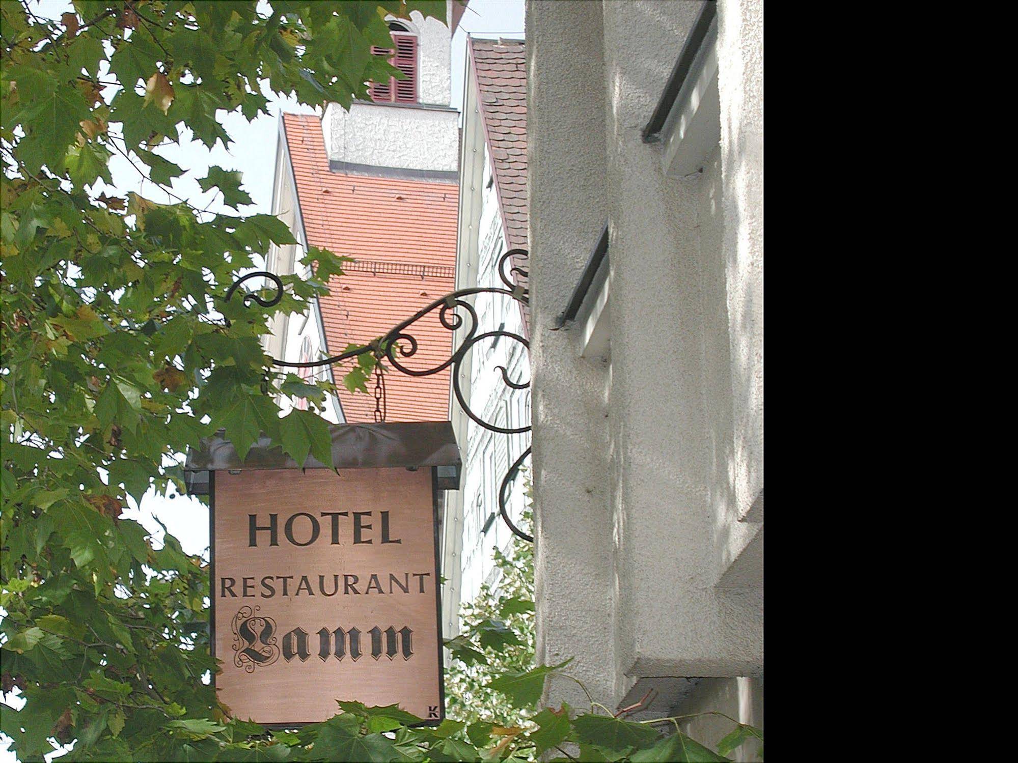 Lamm