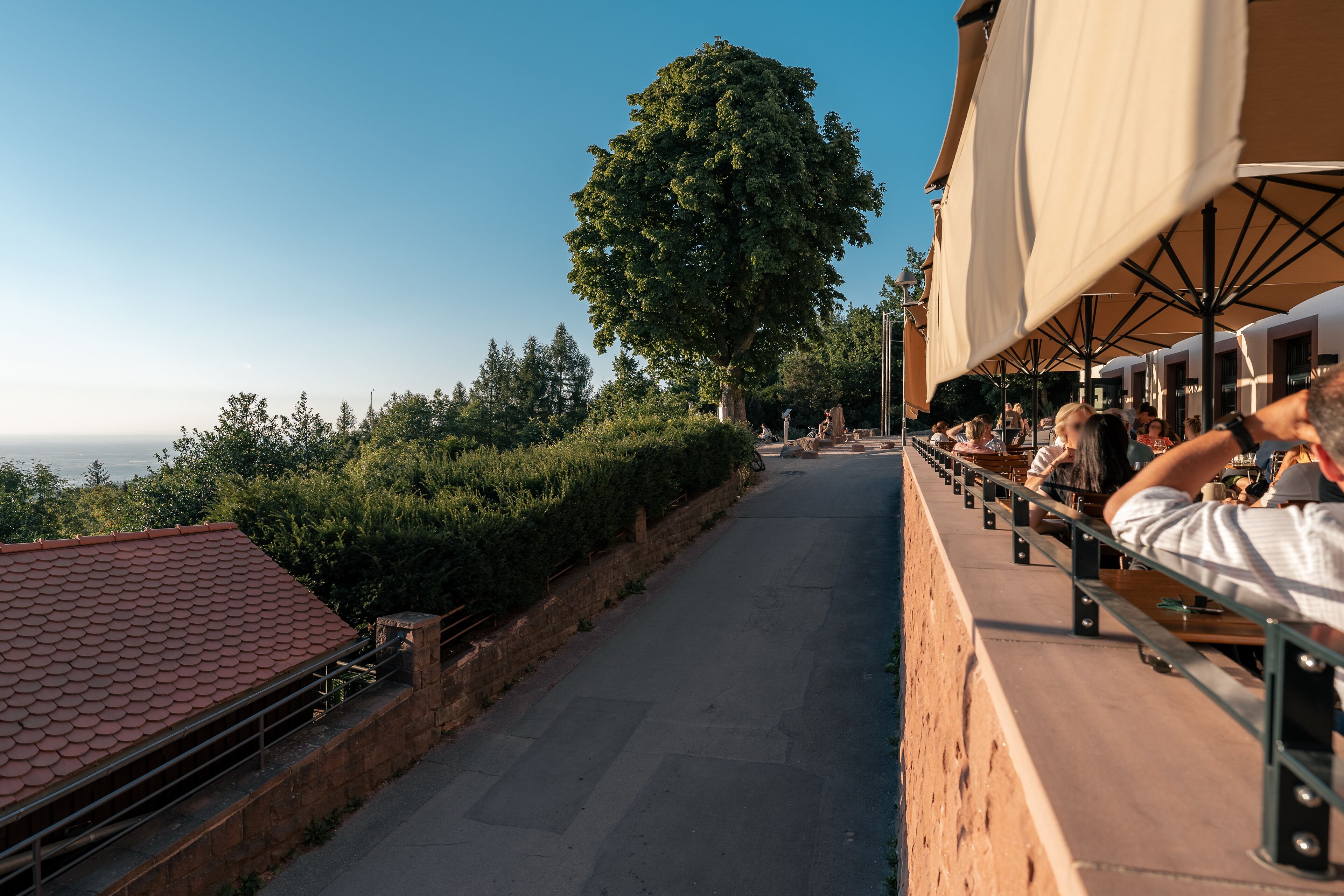 Berggasthof Königstuhl