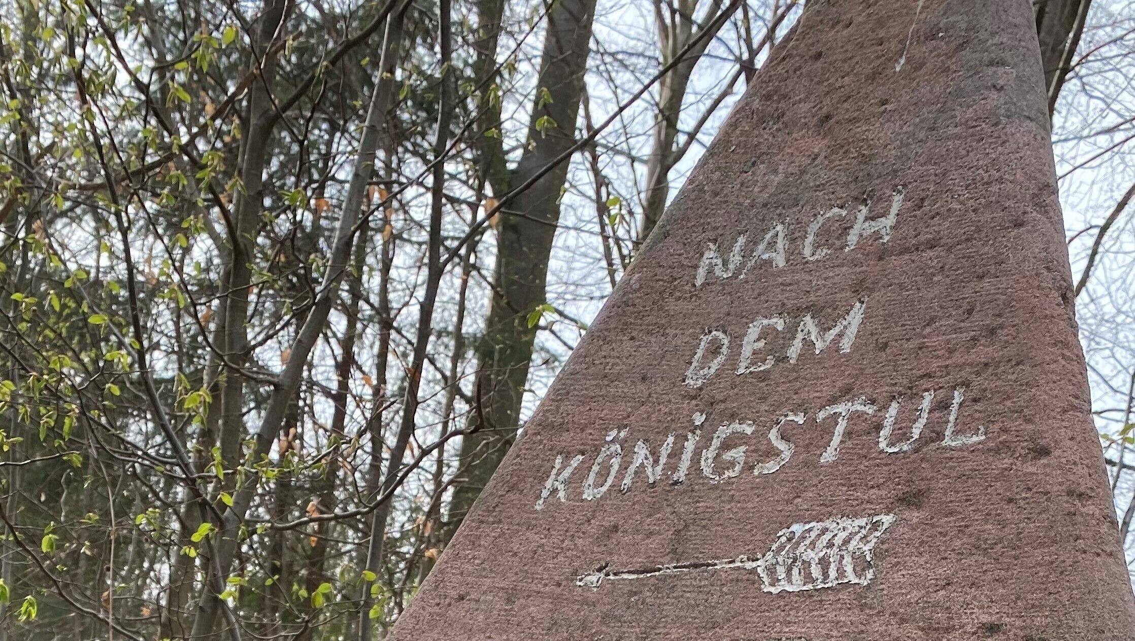 Berggasthof Königstuhl