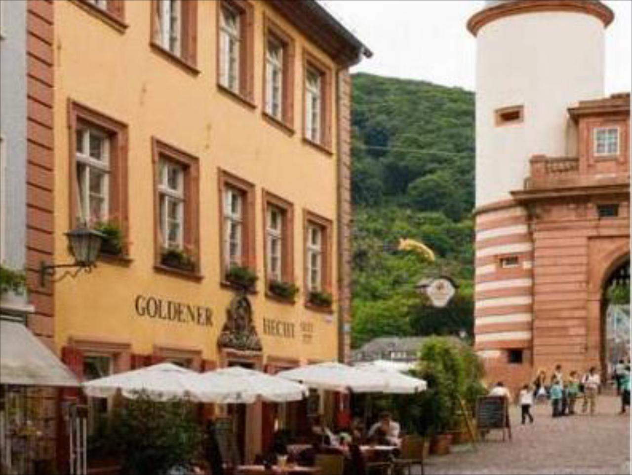 Goldener Hecht