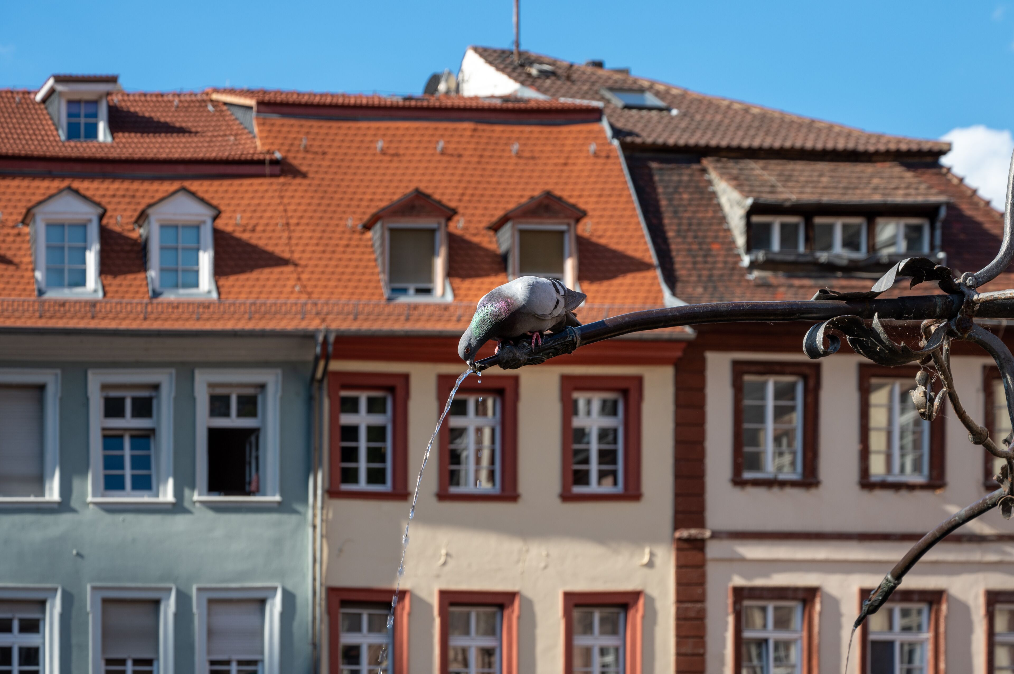 Staycity Aparthotels Heidelberg