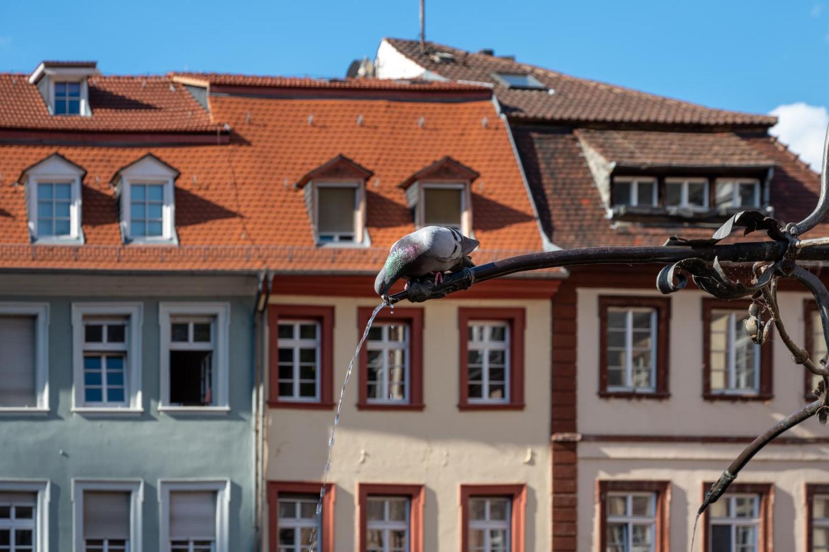 Staycity Aparthotels Heidelberg