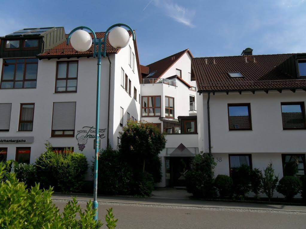 Traube