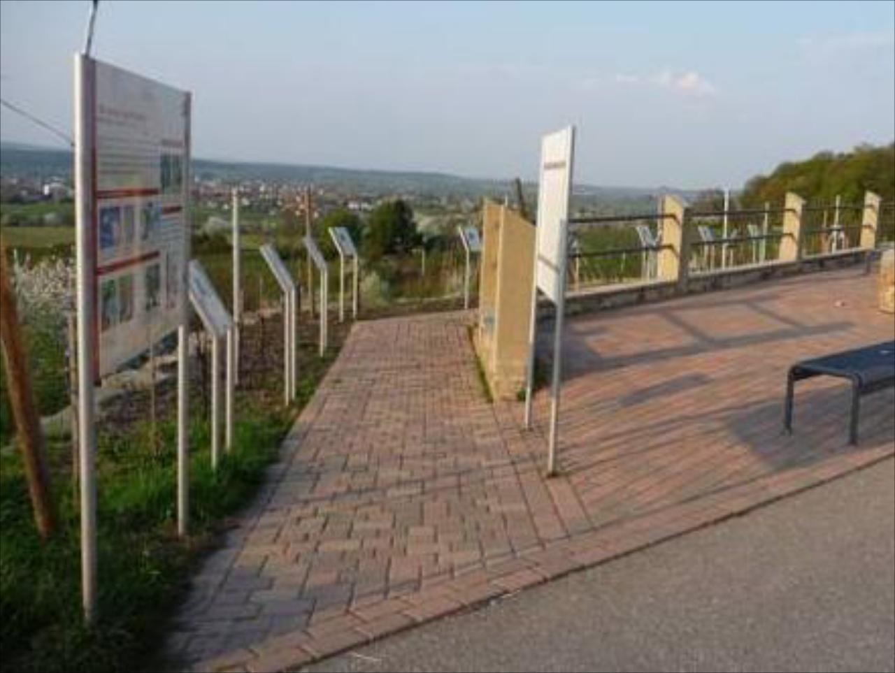 Weingut Kern Wengerterstube