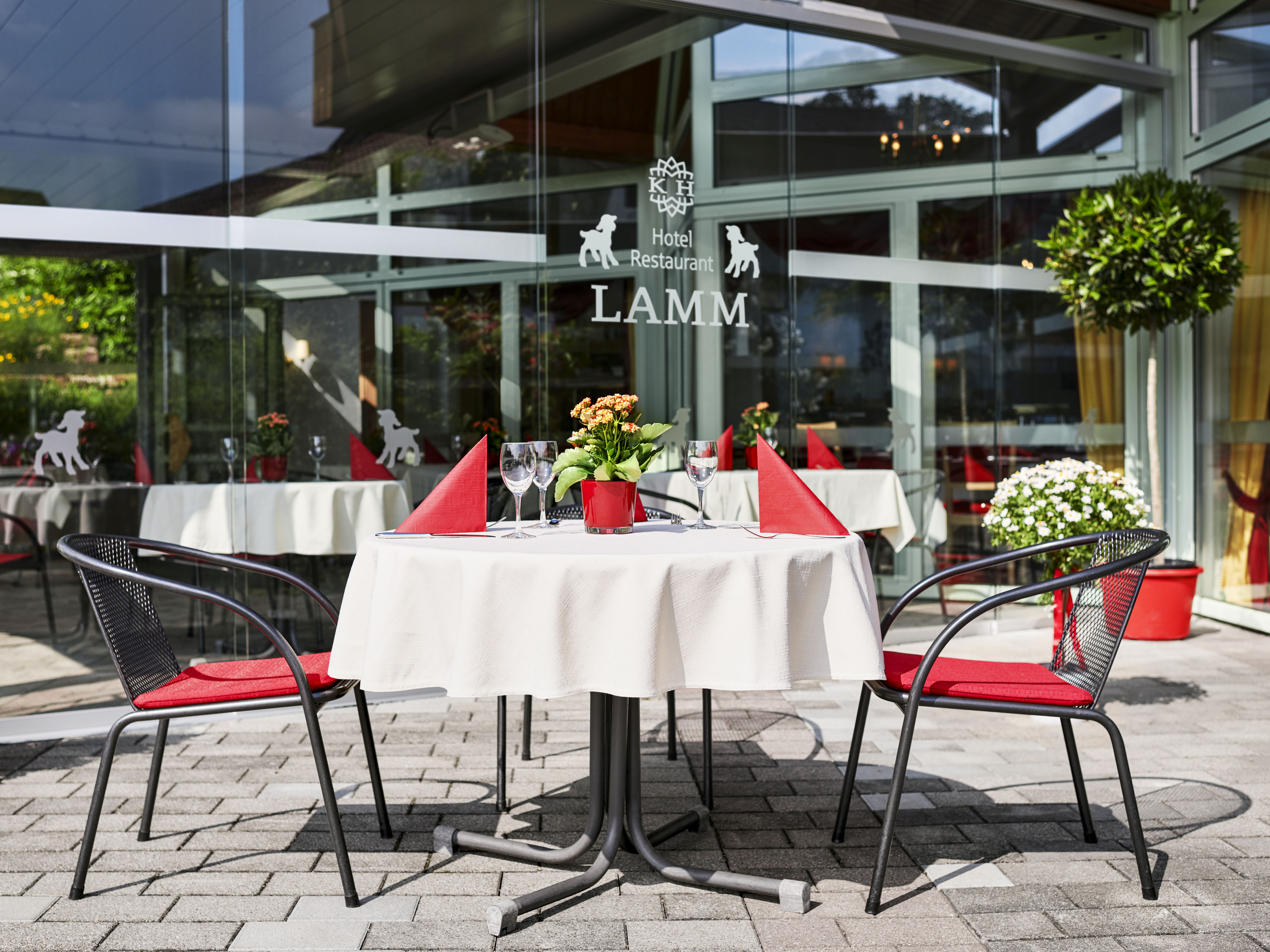 Lamm